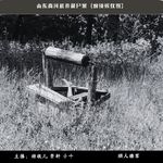 49.迷案-山东商河机井藏尸案（烟锁殡仪馆）