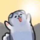 狮子猫三