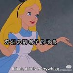 小浪喵