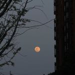 Jasper_0419