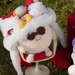 avocado高雅鉴赏中