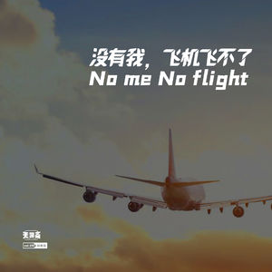 vol.190 没有我，飞机飞不了