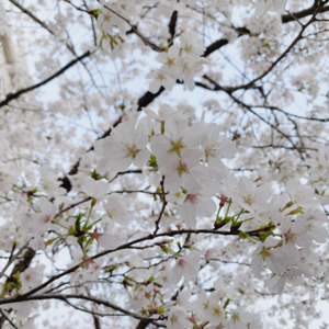 EP21.春暖花开去见你