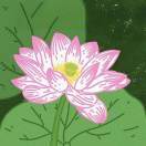 小白心里软_FZ3G