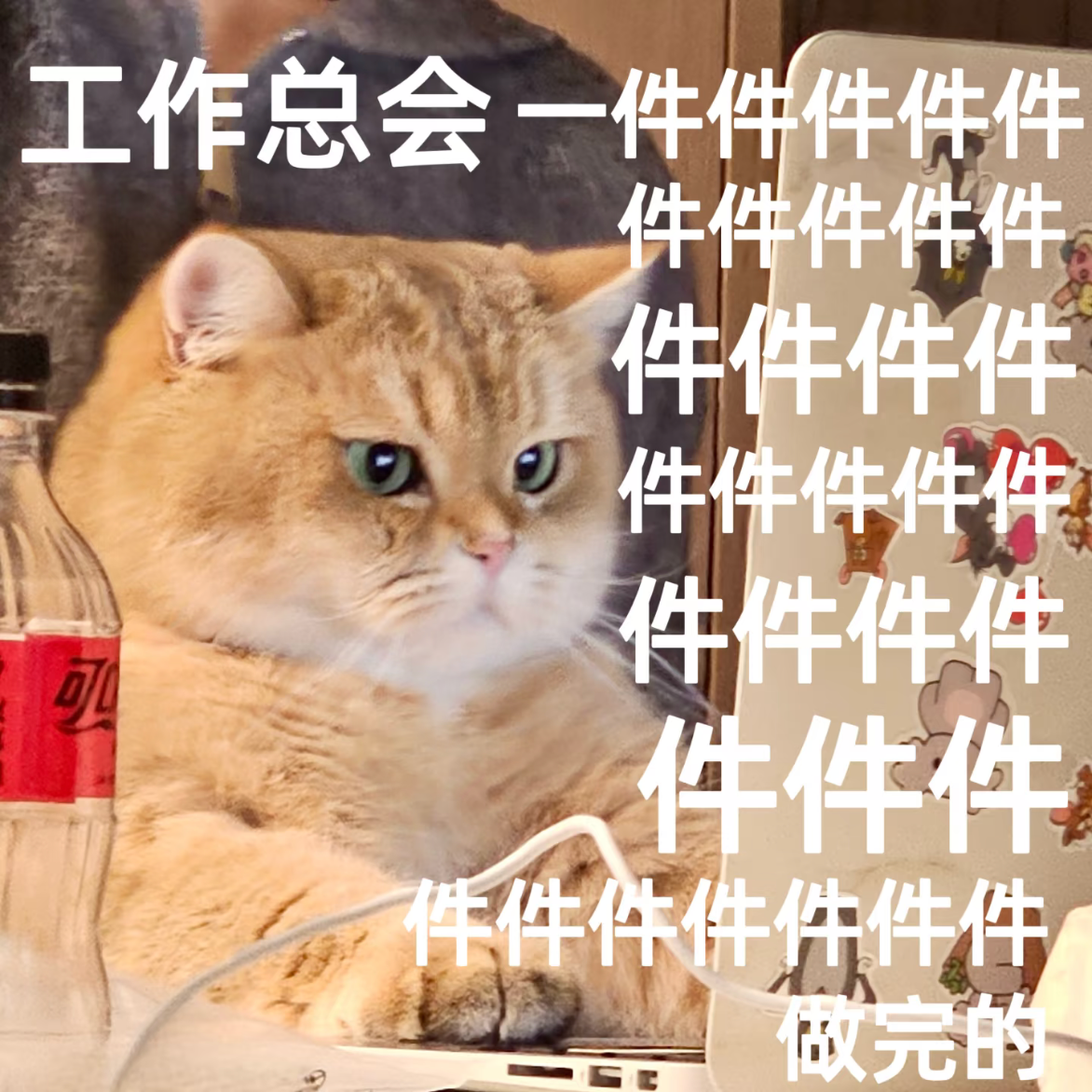vol.23 2026三倍速 要这么过的话 真是夯到爆！ episode artwork