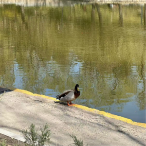 Ep.06 肉酱:在影视行业的旧规则里玩,技巧是不把自己当NPC