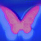 贰贰_uVUr