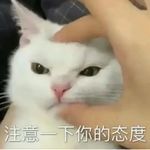 再熬夜是狗-