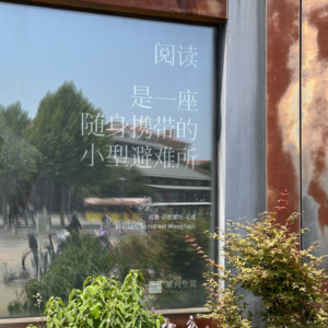 45. 聊聊我旅行中去过的书店，以及逛书店如何丰富了我的旅行体验