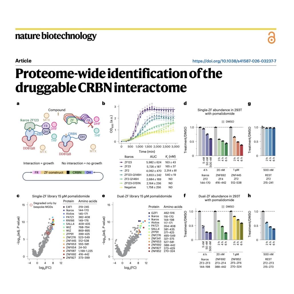 1549-Mapping the Druggable Proteome-wide CRBN Interactome episode artwork