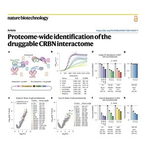 1549-Mapping the Druggable Proteome-wide CRBN Interactome