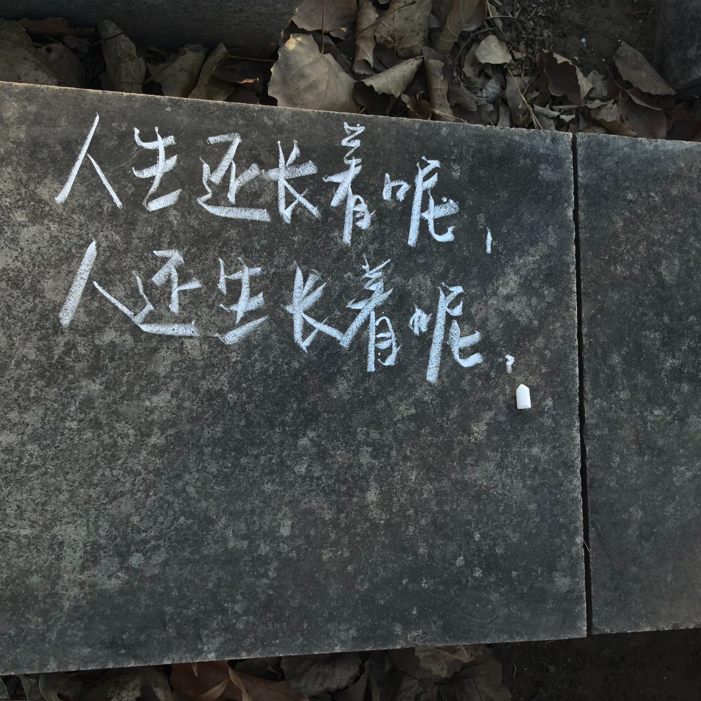 Ep.78 关于初心｜人生还长着呢，人还生长着呢 episode artwork