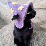 自东土大唐而来