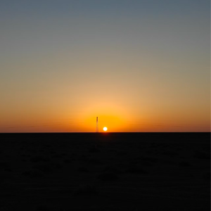 鬼台第504期:大漠碎黄河