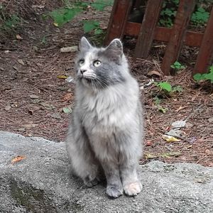 podcaster-avatar