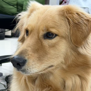 Vol07.一进展馆我就吐——出差（下）