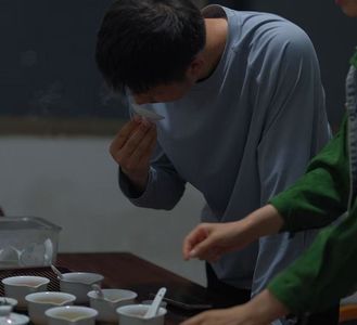 岩茶知识｜“新手”如何选择武夷岩茶？