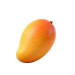 小老咪心爱的老巫婆