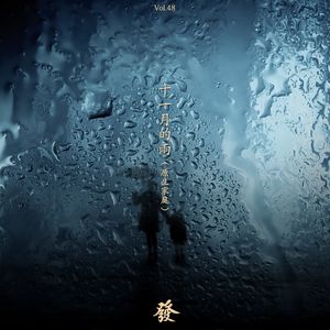 48期 - 十一月的雨（私密）