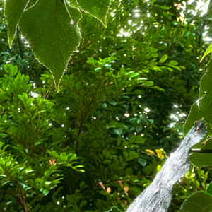 002-收录了一些“此刻的真实”