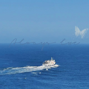 Vol.17 九月出逃日记：夏日的风吹响了自由的节拍，蓝色的大海浇灌了内心的热爱