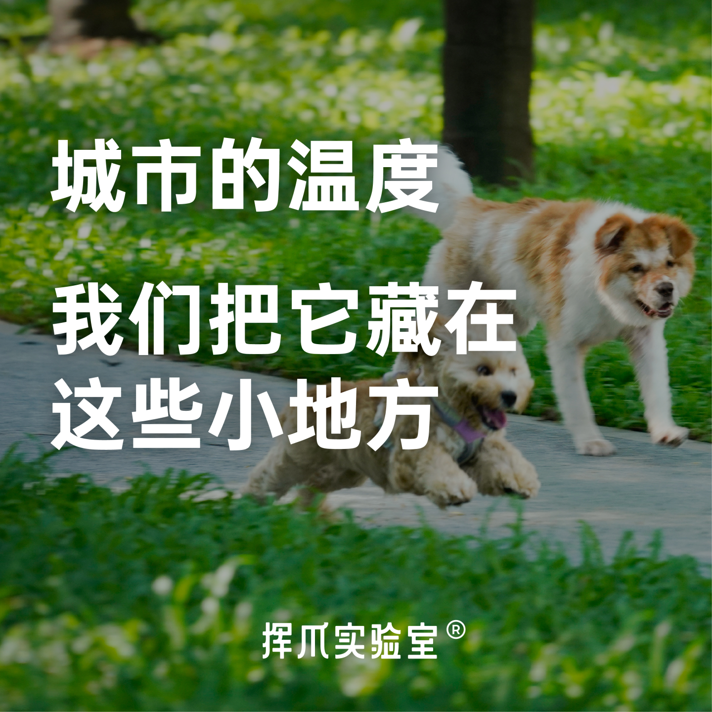 E.3 城市的温度，我们把它藏在这些小地方 episode artwork