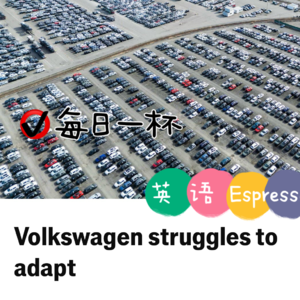 【255】大众转型遇瓶颈