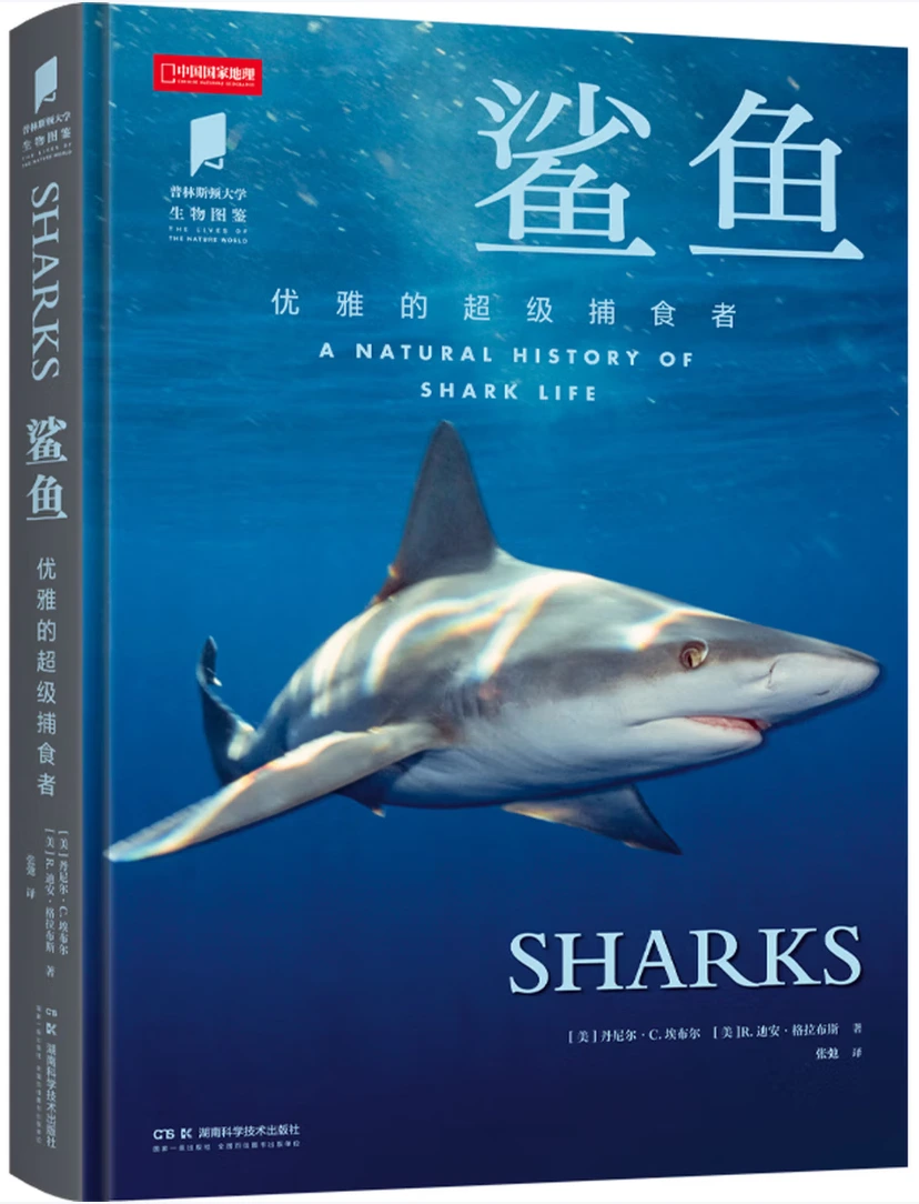 鲨鱼：优雅的超级捕食者
