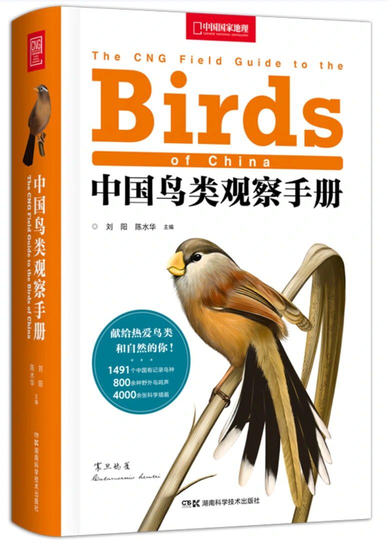 中国鸟类观察手册