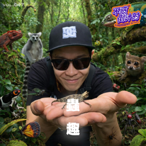 Vol.047 和DJ WESLEY聊聊，探索热带雨林里的动物世界