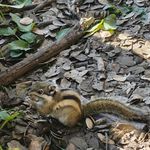 沉夕羽事事顺利