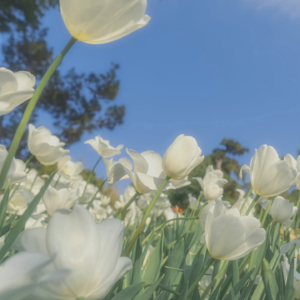 2.散步去，融入附近，如何寻找真正的自我？