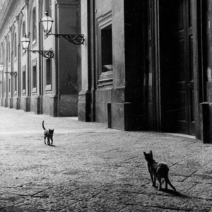 一次没有准备好的对话|关于讨好、连接与真实发生的时刻