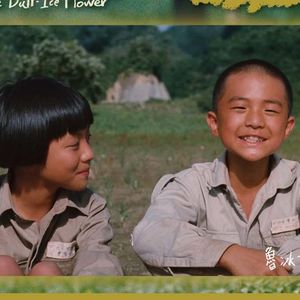Vol.10 经典催泪片《鲁冰花》找不到主演。林柏宏要当华语灾难动作片一哥？|台片资讯站 20260702
