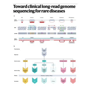 044-Long-read genome sequencing for rare diseases