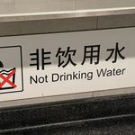 小葵花嗑瓜子儿