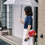 小竹