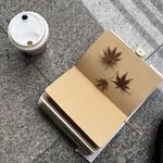 假装是荷包蛋