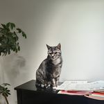 树不会一天长成