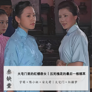 大宅门里的红楼怨女：压死槐花的最后一根稻草