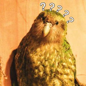 Ep28 《消逝世界漫游指南》：当世界级想象力遇到鸮鹦鹉