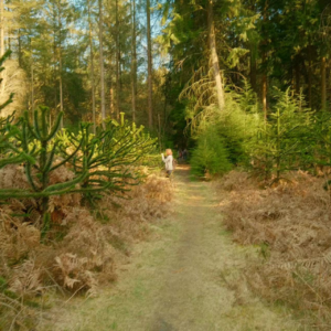 EP9. 女性主义与自然关系 （下）