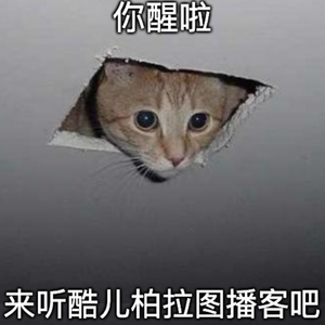 QPR故事 - “为什么我要进入一个爱而不得的叙事?”