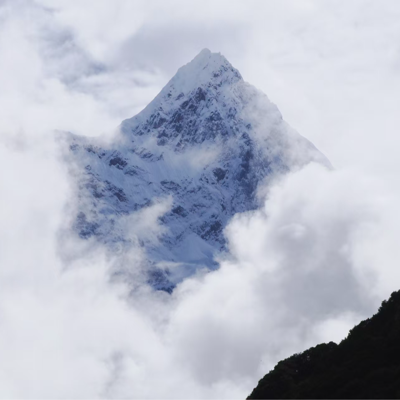 E20.🌏世界只有一个墨脱，墨脱拥有整个世界 episode artwork
