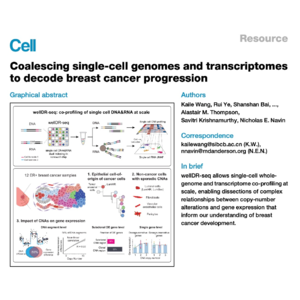 195-wellDR-seq Decodes Breast Cancer Genotype and Phenotype