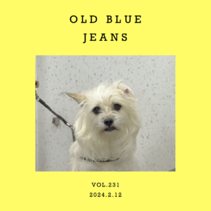 vol.231：黑咖啡，蓝牛仔，和卧室音乐～