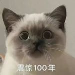 吃花卷