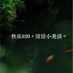 Vol.32 情侣过520，单身的人过小满