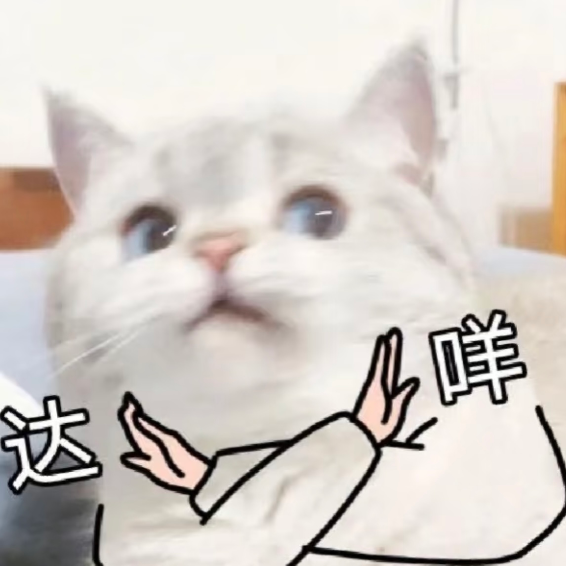 cover of episode 38. 内核稳定术丨拒绝“好东西”，让我找到真自己！
