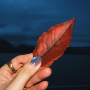 Lucine的日常碎碎念